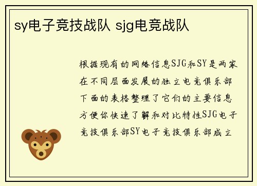 sy电子竞技战队 sjg电竞战队